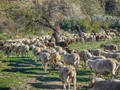 Επιπλέον 12,5 εκατ. ευρώ για τις Περιφέρειες